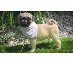 Stickserie - Hunde Set